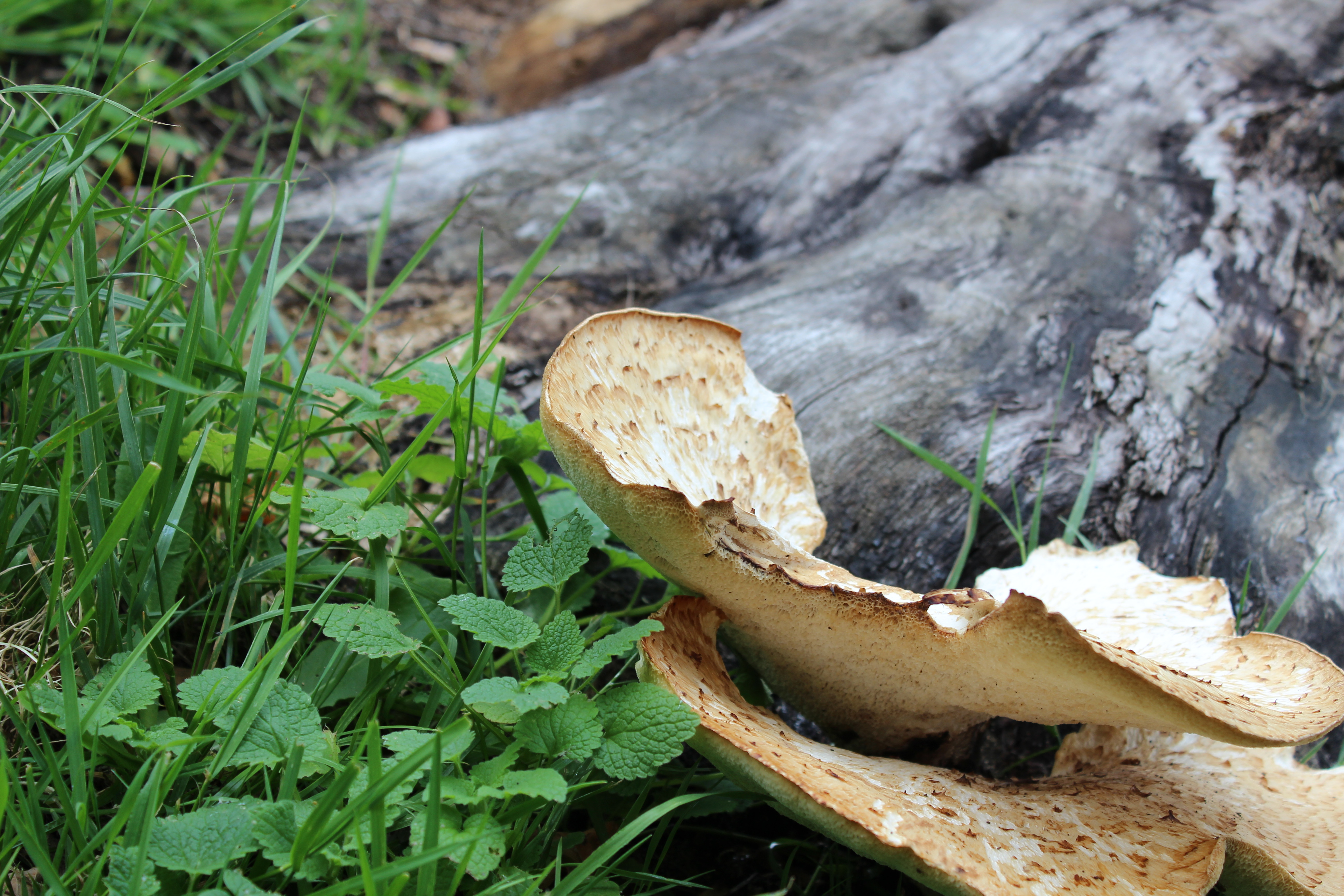 5EC3E5BD-8DB2-457D-B02E-0EBFFFA7A5DF